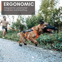 Non-stop dogwear® Trektuig Freemotion Harness 5.0, black/orange, Maat: 5 - thumbnail