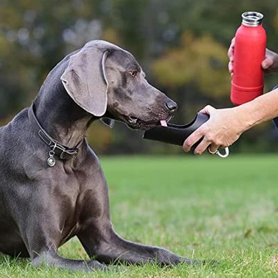 KONG H2O DRINKFLES THERMOS ROOD 740 ML