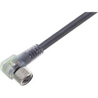binder 79-3404-52-03 Sensor/actuator connector, geassembleerd M8 Aantal polen (sensoren): 4 Bus, haaks 2.00 m 1 stuk(s) - thumbnail