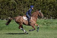 Le Mieux Carbon Air XC boots hind zwart maat:l - thumbnail