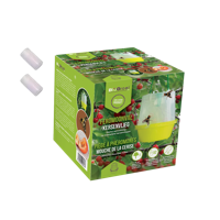 KERSENVLIEG FEROMOONVAL | Incl 2 feromonen - Rhagoletis cerasi - thumbnail