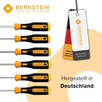 Bernstein Tools for Electronics EUROline-Power Schroevendraaierset Werkplaats 6-delig Plat, Kruiskop Pozidriv - thumbnail