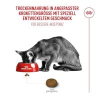 Royal Canin Fussy Exigent | Dubbel Pakket | 2 x 400 g | Volledig voer voor volwassen kieskeurige katten | Combinatie van aroma's en speciale kroketvorm | Rijk aan eiwitten - thumbnail