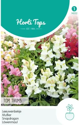 Zaden Antirrhinum Leeuwenbekje Tom Thumb gemengd Hortitops - Hortitops
