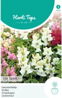 Zaden Antirrhinum Leeuwenbekje Tom Thumb gemengd Hortitops - Hortitops - thumbnail