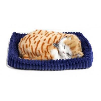 Perfect Pet Zzz zzz soft oranje kat