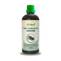 Fytobell Ribes Nigrum Glm 100ml - thumbnail