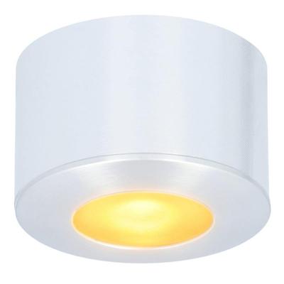 Navarra Mini LED Opbouwspot - 12 Volt 3 Watt 200 lumen - Dimbaar - Plat 21.5mm - 2700K - IP44 waterdicht - Aluminium