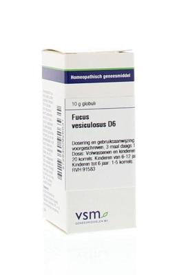 VSM Fucus vesiculosus D6 10 Gram