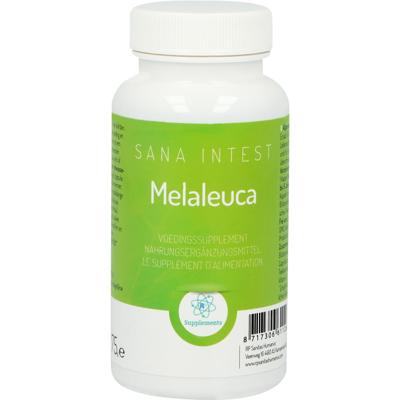 Melaleuca