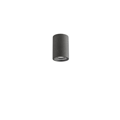Lyora PlafondspotPar zwart beton - 9186181