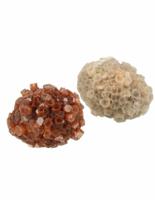 Ruwe Aragonietroosje Edelsteen 4- 6 cm (80-120 gram) - thumbnail