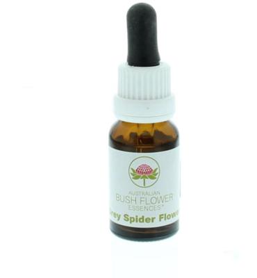 Australian Bush Grey spider flower 15 Milliliter