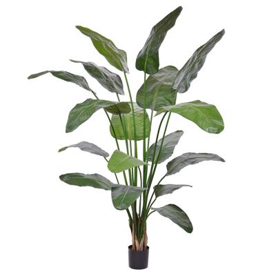Strelitzia Nicolai deluxe Kunstpalm 200cm in pot