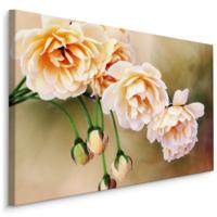 Schilderij - Bloeiende Rozen en knoppen, Roze, Premium Print - thumbnail