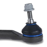 Wilde roos - thumbnail