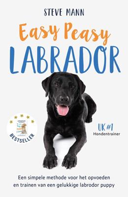 Easy Peasy Labrador - Steve Mann - ebook