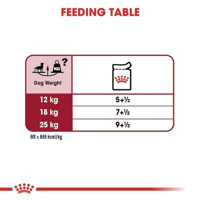 Royal Canin Medium Adult natvoer hond (in saus) 1 doos (10 x 140 g) - thumbnail