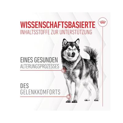 Royal Canin Joint & Ageing Chews voedingssupplement hond 5 x 240 g - thumbnail