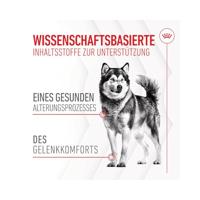 ROYAL CANIN Supplements Dog Joint & Ageing Adult - hondenvitamines - 240g - thumbnail