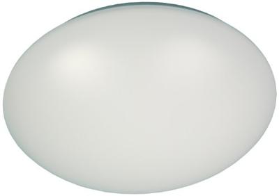 Niermann 68036 Plafondlamp Spaarlamp, LED E27 15 W Wit