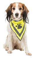 TRIXIE REFLECTERENDE BANDANA GEEL L-XL 43-60 CM - thumbnail