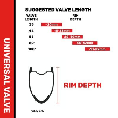 STANS Stan&apos;s valve stem (pair) - universal, presta - 55mm