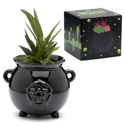 Zwarte Heksenketel Staande Bloempot Binnen