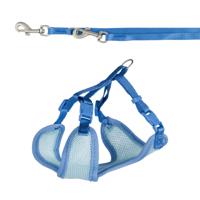 Flexi USA Giant Neon intrekbare hondenriem (band), ergonomisch, duurzaam en klitvrij, voor honden tot 50 kg, 26 voet, groot, zwart - thumbnail