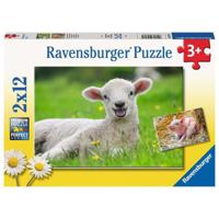Ravensburger puzzel boederijdieren 2 x 12 stukjes - thumbnail
