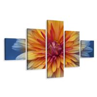 Schilderij - Chrysant close-up, 5luik, premium print - thumbnail