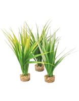 Sydeco kunststofplant Oasis Baby, 18 cm - thumbnail