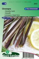 Citroengras Sereh zaden Citronella - thumbnail