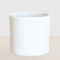 Amstelveen - Wit - P21 - thumbnail