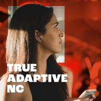 Oordopjes JBL JBLLIVEFLEXSVR Zilverkleurig - thumbnail