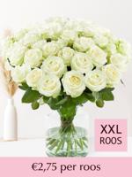 Witte rozen - XXL rozen - 10 t/m 99 rozen - Avalanche - thumbnail
