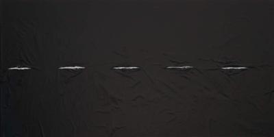 Kweekfolie voor aardappelen 0.95 x 10 cm