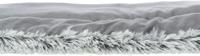 Trixie Harvey Tapijt, 160 × 100 cm, wit-zwart/grijs - thumbnail
