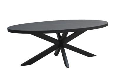 LivingFurn Ovale Eettafel 'Kala Spider' Mangohout en staal, 240 x 110cm, kleur zwart