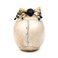 Schedel met spin - thumbnail