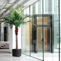 Majesty Giant kunstpalm 350cm - thumbnail