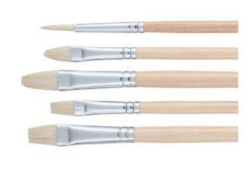 Talens Art Creation penselenset varkenshaar geassorteerd, set met 5 penselen