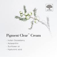 New Nordic Pigment Clear Cream - thumbnail