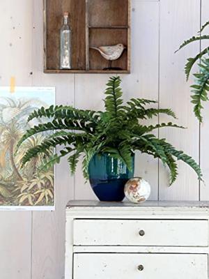 Mica Decorations Boston Varen Kunstplant - H35 x Ø45 cm - Groen