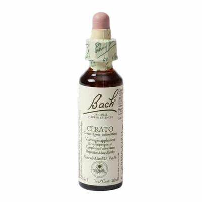 Bach Flower Remedies Loodkruid 05 Bach Flower Remedies Loodkruid 05