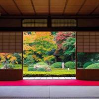 Notitieboek Cherry Blossom - thumbnail