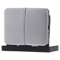 Busch-Jaeger 2CKA001751A2838 Serietoets Afdekking Titaan 1 stuk(s) - thumbnail