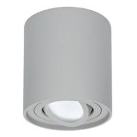 Ronde LED Opbouwspot Ray - 4 Watt 345 Lumen - 6500K daglicht wit - Kantelbaar - GU10 - Opbouwspot - IP20 Voor binnen - Grijs - Dimbaar - thumbnail