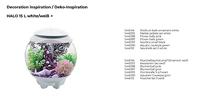 BiOrb schelp set 3 wit aquarium decoratie - thumbnail
