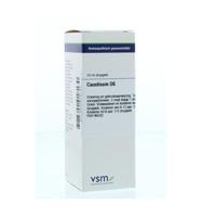 VSM Causticum D6 20 Milliliter - thumbnail
